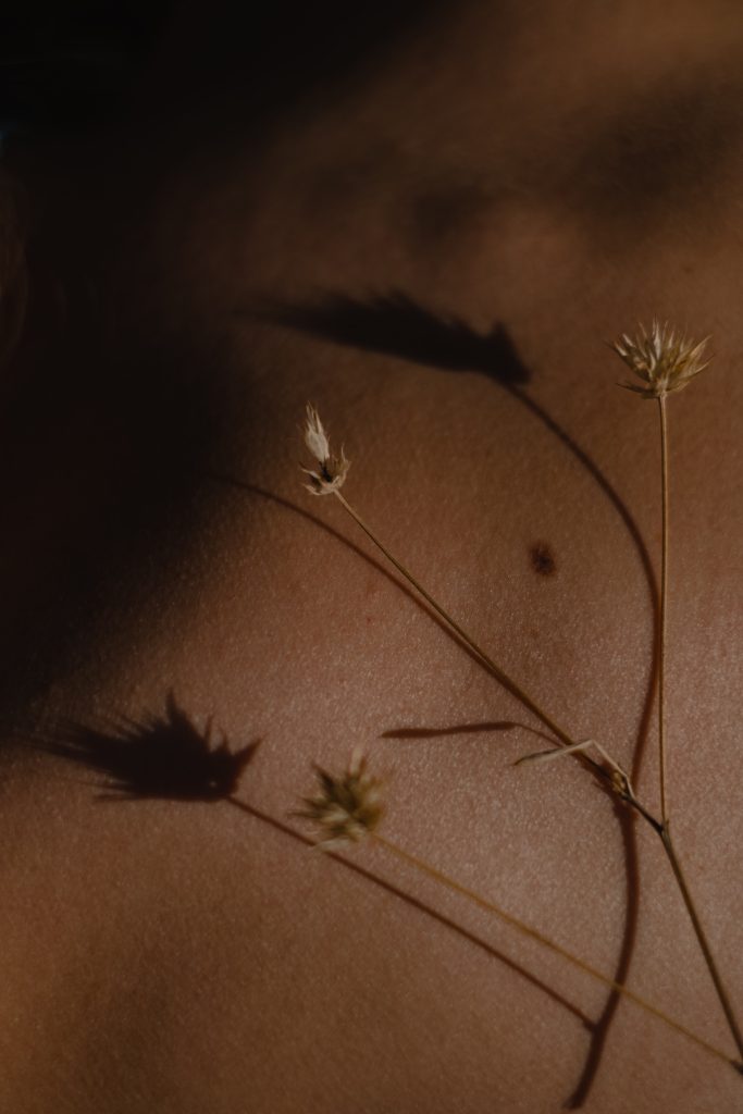 Studio Luzi Peau Fleur séchée