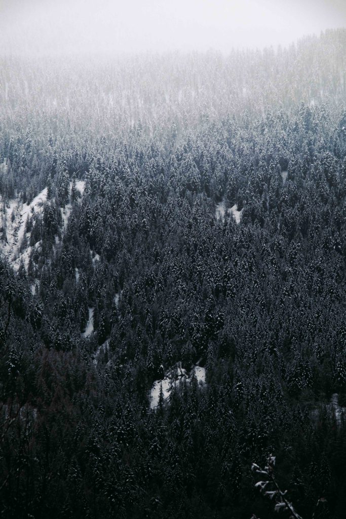 Studio Luzi ski paysage voyage